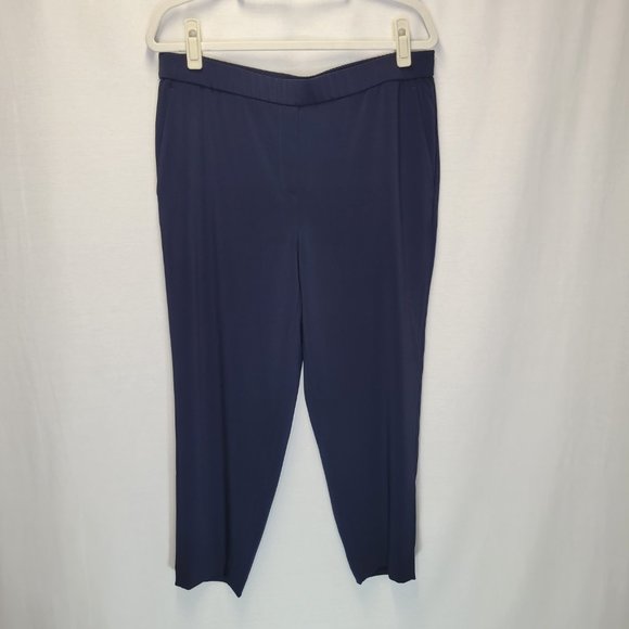 Chico's Pants - Chico's Women's Size 2P (US Size 12P) Pants Blue Pull On
